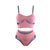 Burlesque Mesh Panel Shorts W0261
