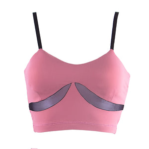 Burlesque Mesh Panel Top W0260
